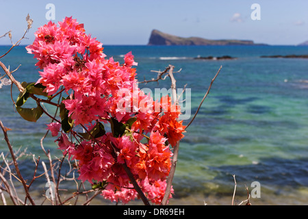 Coin de Mire Insel vor der Küste von Cap Malheureux gesehen, Mauritius. Stockfoto