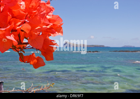 Coin de Mire Insel vom Ufer des Cap Malheureux gesehen, Mauritius. Stockfoto