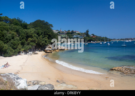 Milch-Strand mit Blick auf Rose Bay Sydney Harbour National Park Vaucluse Sydney New South Wales NSW Australia Stockfoto