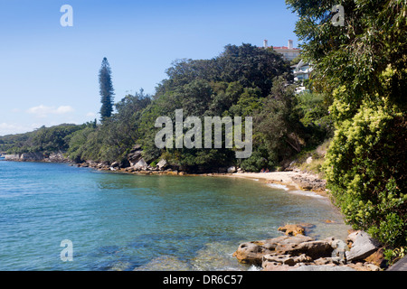 Queens Beach Hermitage Vorland gehen Vaucluse östlichen Vororten Sydney New South wales NSW Australia Stockfoto