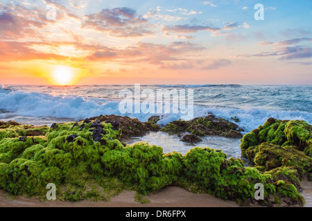 Wunderschönen Sonnenaufgang über moosige Felsen am Sandy Beach in Oahu, Hawaii Stockfoto