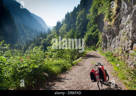 Dawes Galaxy Tourenrad mit Packtaschen am nationalen Radweg 4 (Alpenpanorama Route) in der Nähe von Montbovon in den Schweizer Alpen Stockfoto