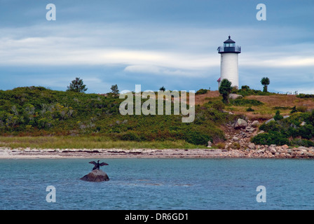 Kormorane trocknen ihre Flügel vor plane Cove Leuchtturm in Massachusetts. Stockfoto