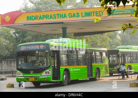 Alle Delhis Busse laufen auf Compressed Natural Gas (CNG) ist der weltweit größte Eco freundlich Busflotte und hat dazu beigetragen, um Delhis Luftqualität zu verbessern, nachdem sie Dieselbussen, Indien zu ersetzen. Stockfoto