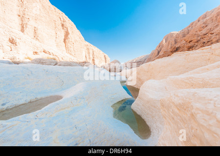 Israel. Nach einer Überschwemmung in einer Wüste Schlucht (Ze'elim Vadi) in der Negev-Wüste. Stockfoto