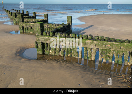 Hölzerne Buhnen auf Hunstanton Beach, Januar Stockfoto