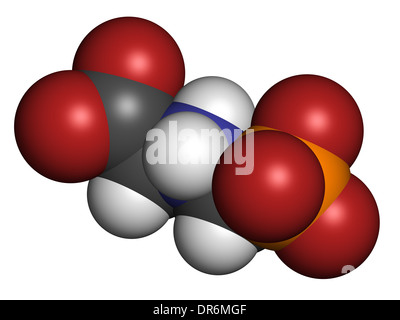 Glyphosphat Herbizid Molekül. Pflanzen, die resistent gegen Glyphosphat (gentechnisch veränderte Organismen, GVO) wurden produziert. Stockfoto