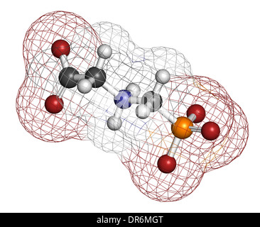 Glyphosphat Herbizid Molekül. Pflanzen, die resistent gegen Glyphosphat (gentechnisch veränderte Organismen, GVO) wurden produziert. Stockfoto