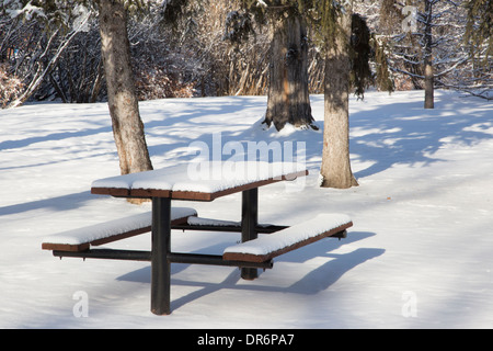 Picknick-Tisch mit Schnee bedeckt. Stockfoto