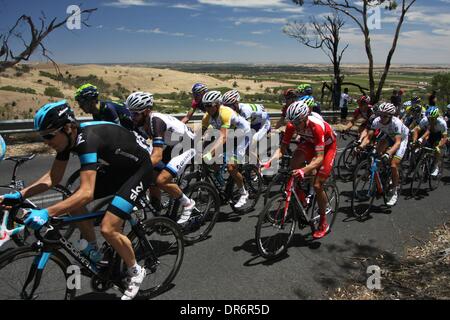 Barossa Valley, Australien. 21. Januar 2014. Hauptfeld aufsteigender Mengler Hill in Phase 1 der Santos Tour Down Under 2014 von Nurioopta, Angaston, South Australia am 21. Januar 2014 Credit: Peter Mundy/Alamy Live News Stockfoto