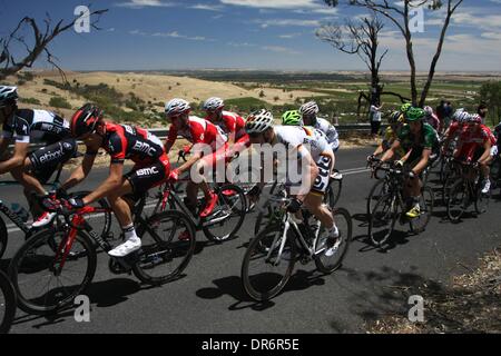 Barossa Valley, Australien. 21. Januar 2014. Andre Greipel (Lotto-Belisol) aufsteigender Mengler Hill KOM in Phase 1 der Santos Tour Down Under 2014 von Nurioopta, Angaston, South Australia am 21. Januar 2014 Credit: Peter Mundy/Alamy Live News Stockfoto