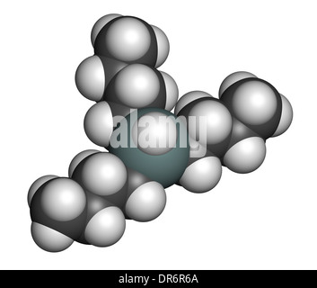 Tributyltin Hydride Molekül. Organozinn-Reagenz in der organischen Synthese verwendet. Atome werden als Kugeln dargestellt. Stockfoto