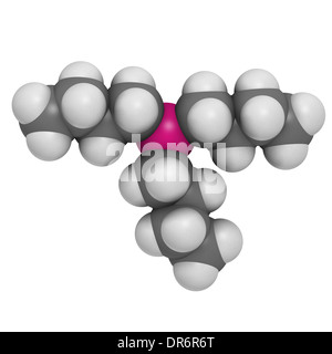 Tributyltin Hydride Molekül. Organozinn-Reagenz in der organischen Synthese verwendet. Atome werden als Kugeln dargestellt. Stockfoto