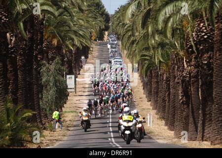 Barossa Valley, Australien. 21. Januar 2014. Hauptfeld Reiten durch Seppeltsfield in Phase 1 der Santos Tour Down Under 2014 von Nurioopta zum Angaston, South Australia am 21. Januar 2014 Credit: Peter Mundy/Alamy Live News Stockfoto