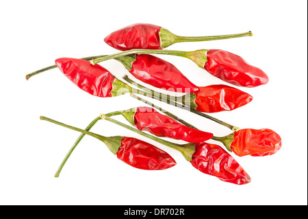 Rote Chilischoten isoliert auf weißem Hintergrund Stockfoto