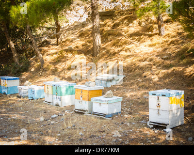 Hölzerne künstlichen Honig-Boxen in den Bergen der Insel Kreta, Griechenland. Biologischer Honig-Produktion. Stockfoto