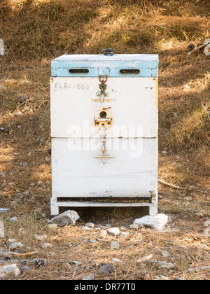 Hölzerne künstlichen Honig-Boxen in den Bergen der Insel Kreta, Griechenland. Biologischer Honig-Produktion. Stockfoto