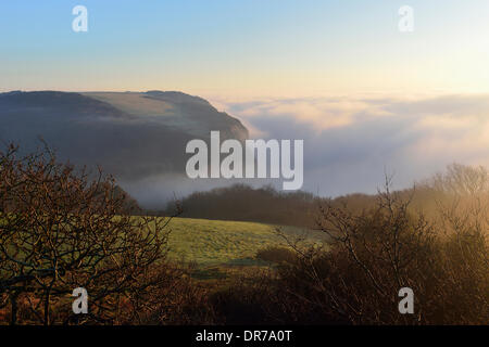 Eine Bank von Meer Nebel über Ecclesbourne Glen Country Park, Hastings, East Sussex, England, Großbritannien Stockfoto