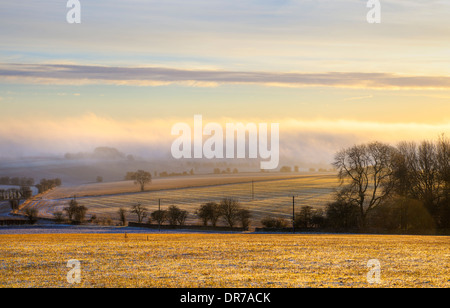Kalten Wintern Morgen mit der Sonne durch den Nebel über urbaren Ackerland, Gloucestershire, England. Stockfoto