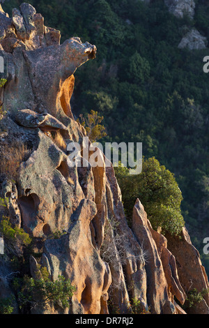 Bizarren Felsformationen Erosionen im Abendlicht, Calanche, Les Calanches de Piana, Corse-du-Sud, Korsika, Frankreich Stockfoto