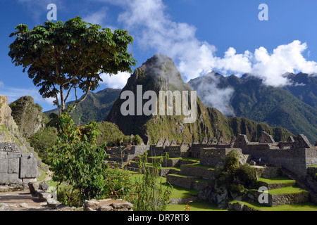 Inka Ruinen von Machu Picchu, UNESCO-Weltkulturerbe, Urubambatal, Anden, Peru Stockfoto