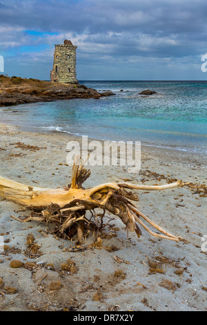 Genueser Wachturm entlang den Zollbeamten Trail, Cap Corse, Haute-Corse, Korsika, Frankreich Stockfoto