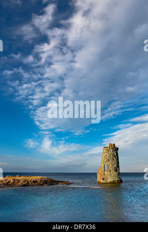 Genueser Wachturm entlang den Zollbeamten Trail, Cap Corse, Haute-Corse, Korsika, Frankreich Stockfoto