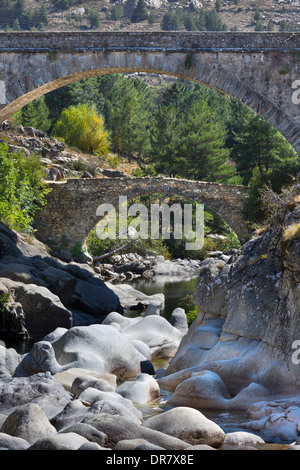 Ponte Alto, Alto-Brücke über den Fluss Golo, Albertacce, Haute-Corse, Korsika, Frankreich Stockfoto