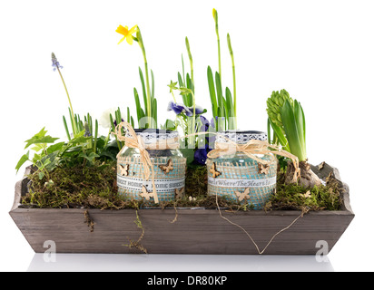 Mini-Garten mit Blumen auf Holzplatte Stockfoto