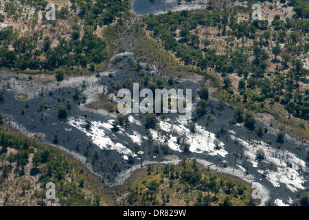 Luftaufnahmen aus dem Flugzeug vor nehmen die Lager Savute Elephant Camp von Orient-Express in Botswana in den Chobe National Park. Stockfoto