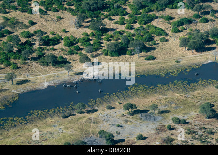 Luftaufnahmen aus dem Flugzeug vor nehmen die Lager Savute Elephant Camp von Orient-Express in Botswana in den Chobe National Park. Stockfoto