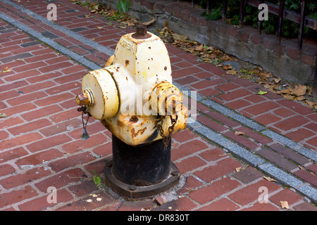 Schwarz-gelben Hydranten, mit Freedom Trail Fahrbahnbelagssymbol hinter sich, in Boston, Massachusetts, USA Stockfoto