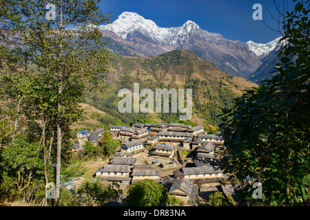 Annapurna South (7291m) und Hiunchuli von Ghandruk in der Annapurna Region Nepals gesehen Stockfoto