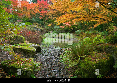 WASHINGTON - Herbstzeit um einen kleinen Teich im Washington Park Arboretum in Seattle. Stockfoto