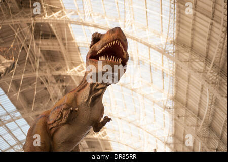 London, Großbritannien. 21. Januar 2014. Animatronic Dinosaurier Feature auf einem Ständer. Der Spielwarenmesse wieder werden Tausende von neuen Spielzeug, Spiele und Hobbys zu größten Treffen der britischen toy Industry Professionals. Credit: Malcolm Park Redaktion/Alamy leben Nachrichten Stockfoto