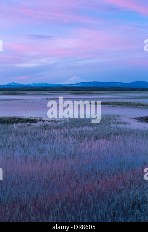 Mount Shasta steht Sentinal über die Klamath Bassin bei Sonnenaufgang. März. USA Stockfoto