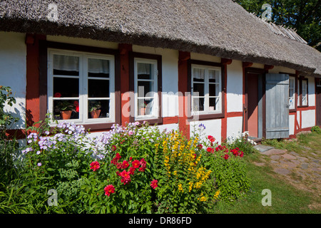 Altes traditionelles Bauernhaus, Himmelstorp, Kullaberg / Kullen, Skåne / Scania, Schweden Stockfoto