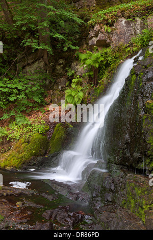 Forsemölla / Forsemoella-Wasserfall am Sträntemölla, Skåne / Scania, Schweden Stockfoto
