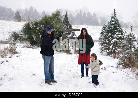 Junge Familie immer ihren Weihnachtsbaum auf einer Sie schneiden Christmas Tree Farm in Indiana Domherrn Stockfoto