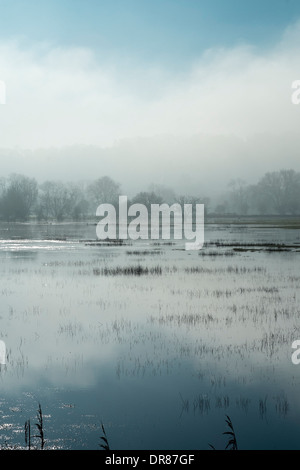 Nebligen Morgen Harnham Wasser Wiesen neben dem Fluss Avon in Salisbury Wiltshire UK Stockfoto