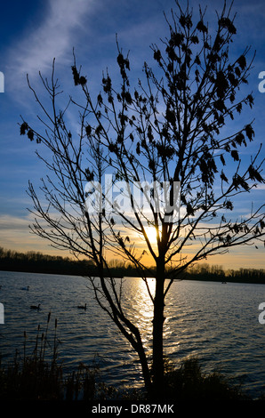 Rainbow Skies Over Boating Lake, kurz vor Sonnenuntergang Stockfoto