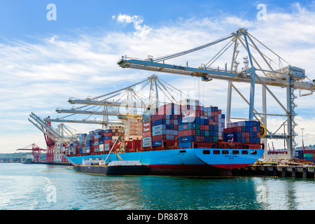 Containerschiff im Hafen von Seattle, Washington, USA entladen wird Stockfoto