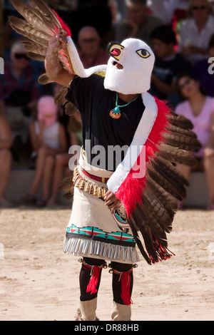 Adler Tänzer, Acht Nördlichen Pueblos Kunst und Handwerk zeigen, San Juan Pueblo, New Mexico USA Stockfoto