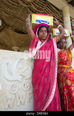 Ein WWF-Projekt zur Stromversorgung auf eine einsame Insel in der Sunderbans, einen tief liegenden Bereich des Ganges-Delta im Osten Indiens Stockfoto