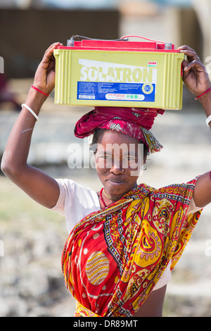 Ein WWF-Projekt zur Stromversorgung auf eine einsame Insel in der Sunderbans, einen tief liegenden Bereich des Ganges-Delta im Osten Indiens Stockfoto