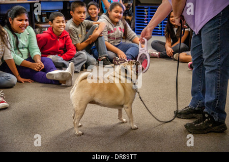 Ein überwiegend Hispanic Grundschule Klasse in San Bernardino, Kalifornien, bekommt eine Lektion in Tierpflege von einem Besitzer, als ihr Chow Hund sich im Spiegel anschaut. Stockfoto