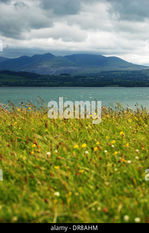 Blick von der Snowdon Mountain Range in der Meerenge von Menai, mit Anglesey im Vordergrund Stockfoto