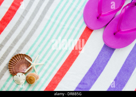 Strand-Szene mit lila Flip-Flops, Muscheln, Seesterne und einen Sand Dollar auf einem gestreiften Strandtuch. Stockfoto