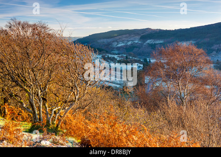 Dolwyddelan Castle (Walisisch: Castell Dolwyddelan) war eine gebürtige Waliser Burg Dolwyddelan in Conwy Grafschaft nahe Stockfoto