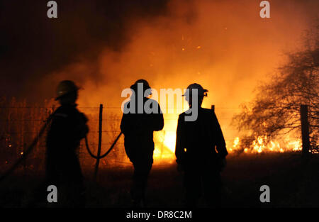 Buenos Aires, Argentinien. 21. Januar 2014. Feuerwehrleute löschen Feuer in der Stadt von Madero Partido de Pehuajo, in der Provinz Buenos Aires, Argentinien, am 21. Januar 2014. Das Feuer wurde durch einen Blitz, der die Stadt Madero streicheln laut Zeugenaussagen verursacht. Bildnachweis: Jose Romero/TELAM/Xinhua/Alamy Live-Nachrichten Stockfoto